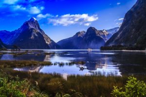 Movies Shot In New Zealand Working Holiday Starter